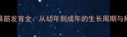 英国短毛猫鼻筋发育全从幼年到成年的生长周期与科学护理指南