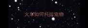 火车如何托运宠物