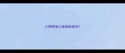 小狗突发心脏病的症状