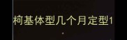 柯基体型几个月定型