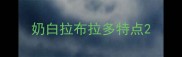 奶白拉布拉多特点