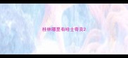 桂林哪里有哈士奇卖