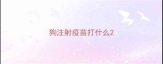 狗注射疫苗打什么