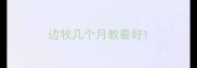 边牧几个月教最好