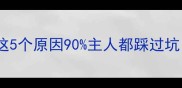 小狗吐了不吃饭这5个原因90主人都踩过坑附喂食急救指南