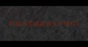 打狂犬疫苗能多久不用打