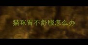 猫咪胃不舒服怎么办