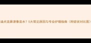 泰迪犬流鼻涕像流水5大常见原因与专业护理指南附症状对比图