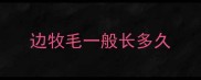 边牧毛一般长多久