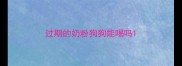过期的奶粉狗狗能喝吗