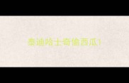 泰迪哈士奇偷西瓜