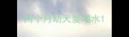 两个月幼犬爱喝水
