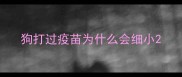 狗打过疫苗为什么会细小
