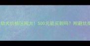 金毛幼犬价格区间大500元能买到吗附避坑指南