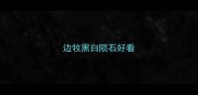 边牧黑白陨石好看
