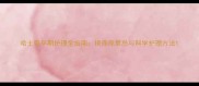 哈士奇孕期护理全指南挠痒痒禁忌与科学护理方法