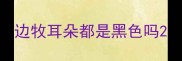 边牧耳朵都是黑色吗