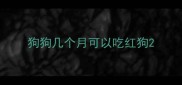 狗狗几个月可以吃红狗