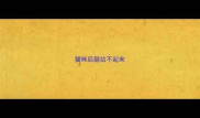 猫咪后腿站不起来