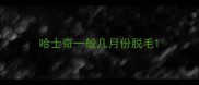 哈士奇一般几月份脱毛