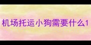 机场托运小狗需要什么