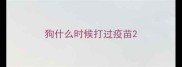 狗什么时候打过疫苗