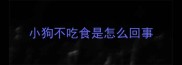小狗不吃食是怎么回事