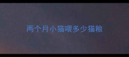 两个月小猫喂多少猫粮