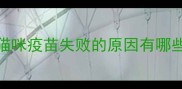 猫咪疫苗失败的原因有哪些