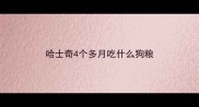 哈士奇4个多月吃什么狗粮