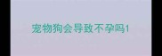宠物狗会导致不孕吗
