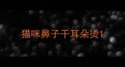 猫咪鼻子干耳朵烫