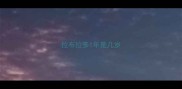 拉布拉多1年是几岁