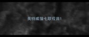 英特威猫七联疫苗
