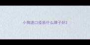 小狗进口疫苗什么牌子好