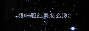 猫咪胆红素怎么测