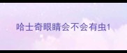 哈士奇眼睛会不会有虫