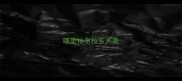 哪里拉布拉多犬卖