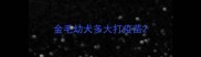 金毛幼犬多大打疫苗