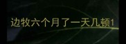 边牧六个月了一天几顿