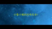 小骨小嘴的拉布拉多