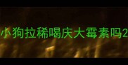 小狗拉稀喝庆大霉素吗