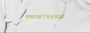 狗狗注射了狂犬疫苗