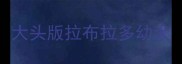 大头版拉布拉多幼犬