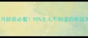 金毛幼犬3月龄前必看90主人不知道的听话关键期指南