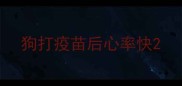 狗打疫苗后心率快