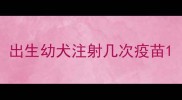 出生幼犬注射几次疫苗