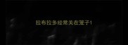 拉布拉多经常关在笼子