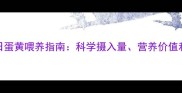泰迪犬每日蛋黄喂养指南科学摄入量营养价值和注意事项
