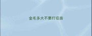 金毛多大不要打疫苗